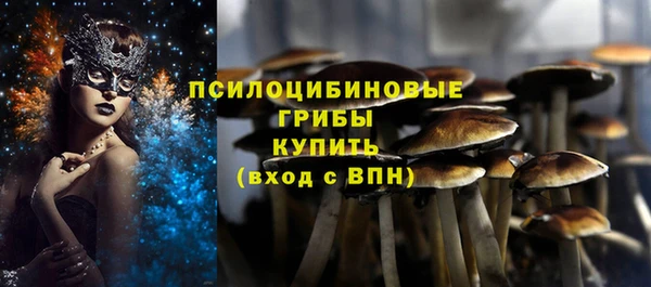 гидропоника Алзамай